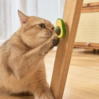 Catnip Minty Avocado Ball Toy for Cats