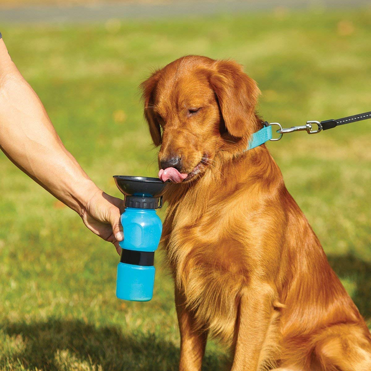 Outdoor Portable Pet Water Bottle