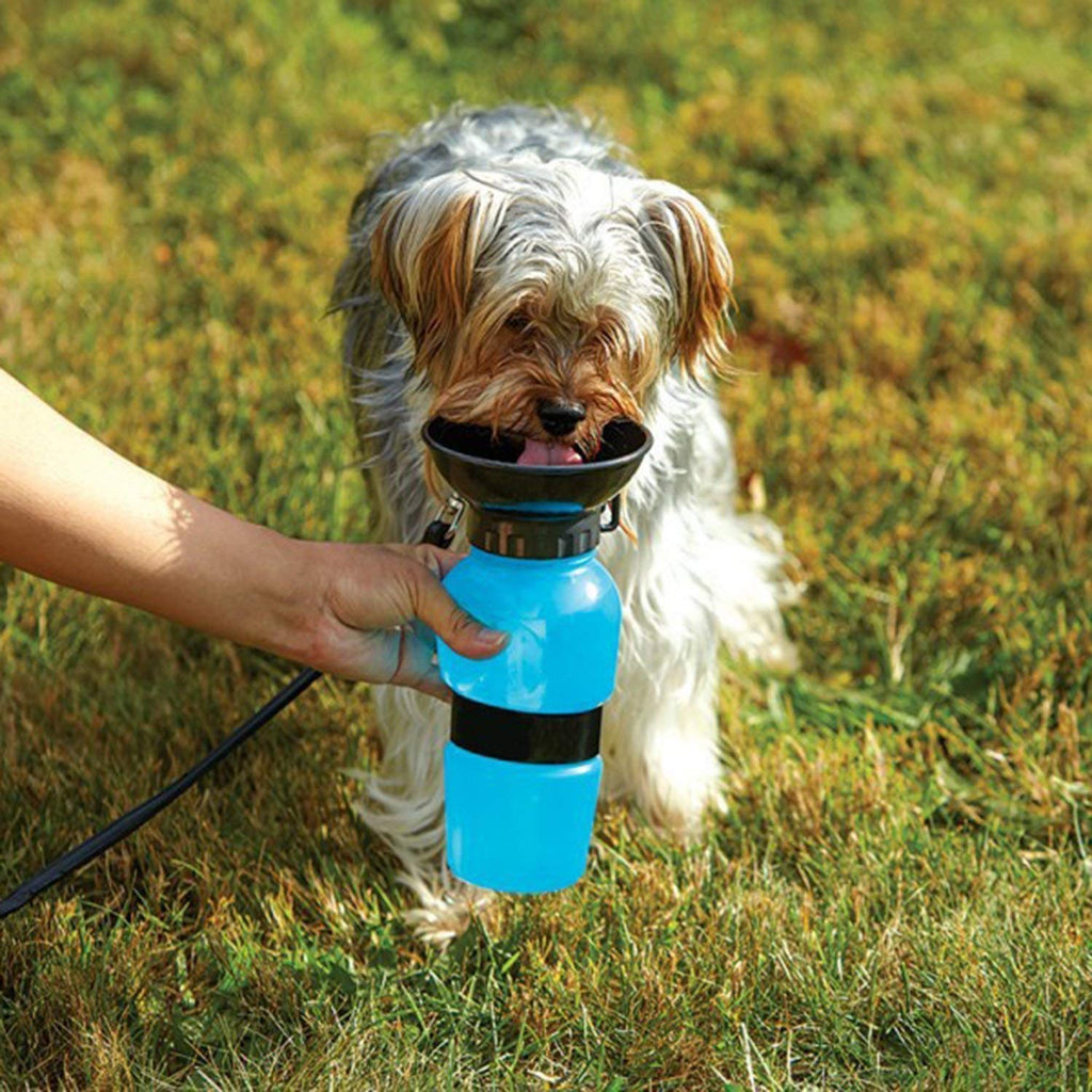 Outdoor Portable Pet Water Bottle