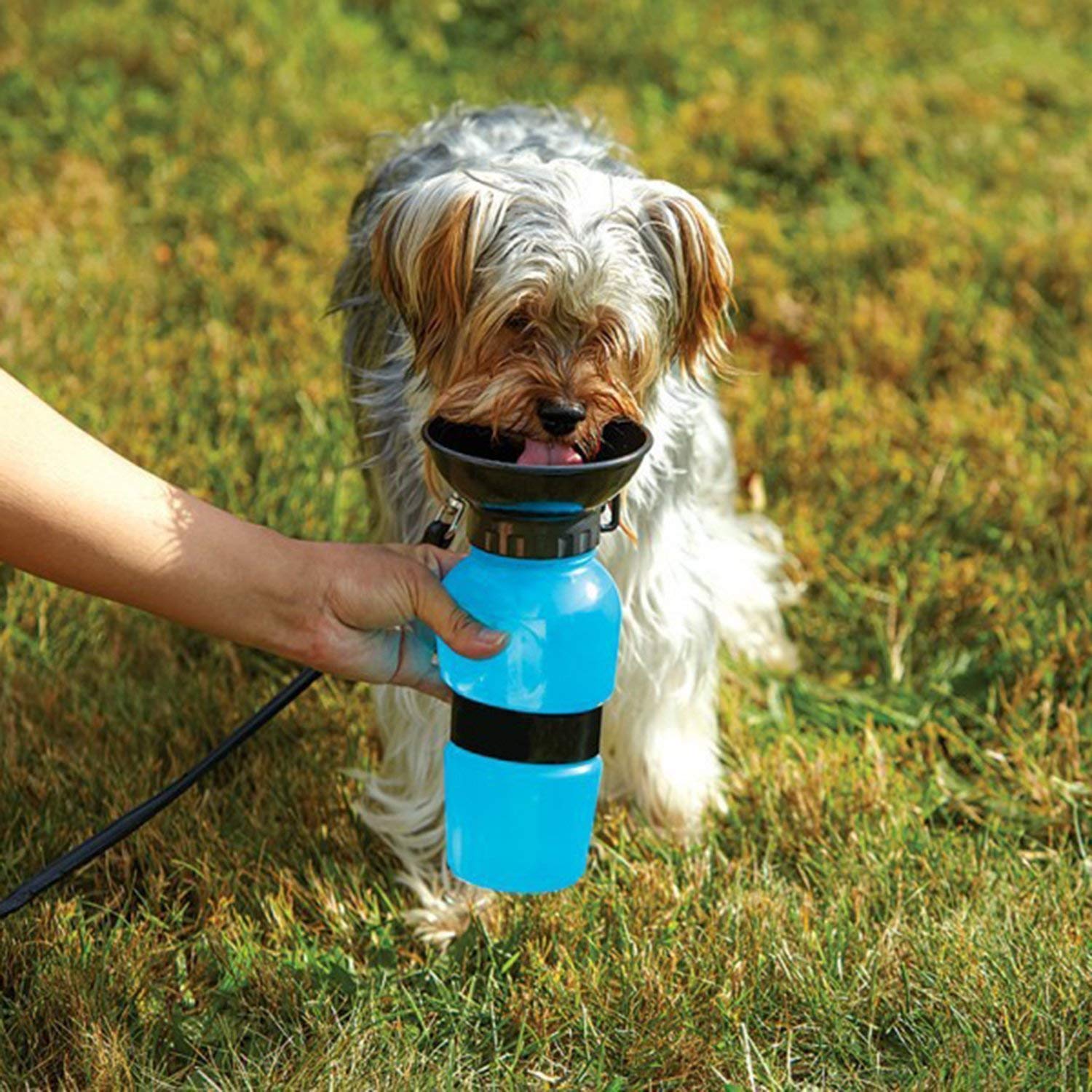 Outdoor Portable Pet Water Bottle